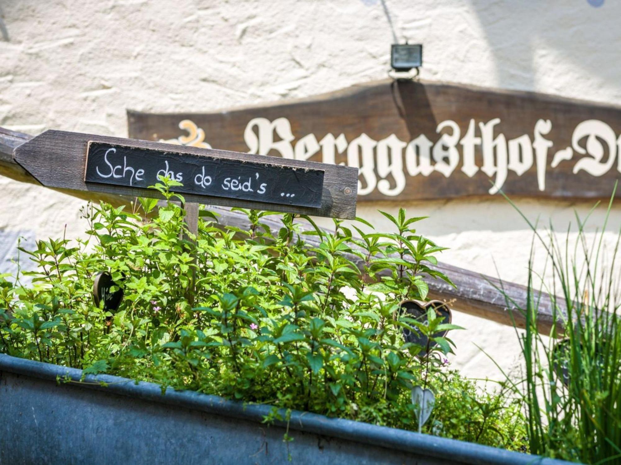 Berggasthof Hotel Duftbraeu I Ruhige Alleinlage I Mitten Im Gruenen Samerberg Buitenkant foto